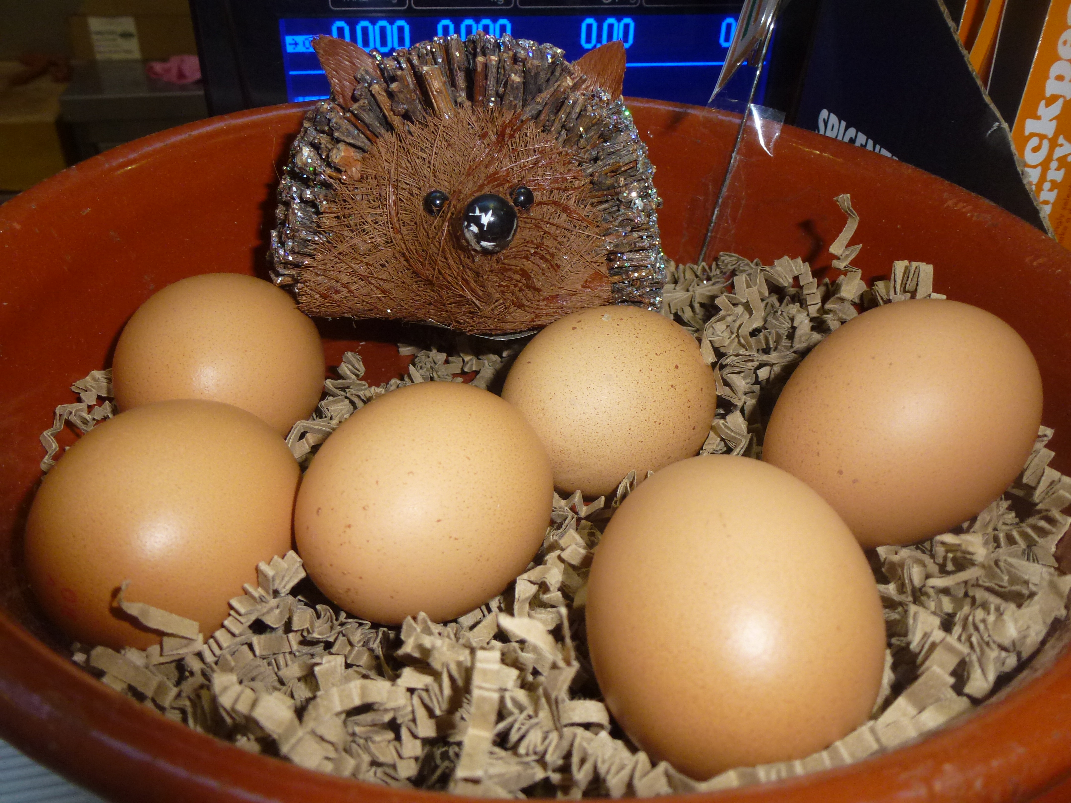 brown_eggs_in_a_bowl.jpg